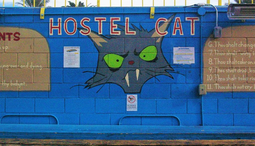 Hostel Cat Las Vegas image 8